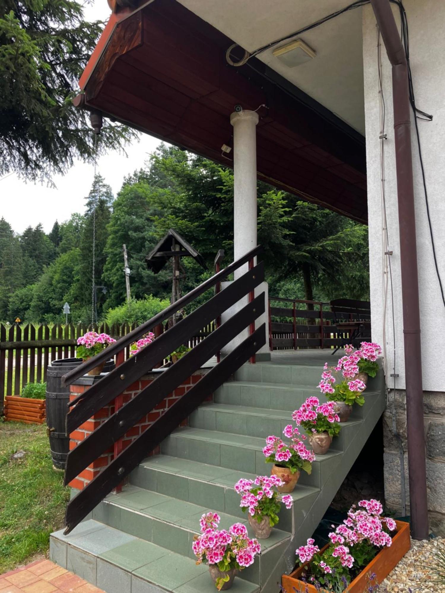 Hotel Base Camp Pieniny à Niedzica Extérieur photo